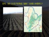 【中圖版】地理必修一  2.6 土壤的主要形成因素（課件+練習(xí)）