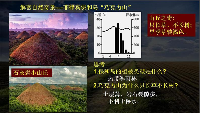 【中图版】地理必修一  2.6 土壤的主要形成因素（课件+练习）08