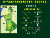 【中图版】地理必修一  2.7 植被与自然地理环境的关系（课件+练习）