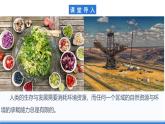 【新教材】鲁教版高中地理必修第二册 1.3《人口合理容量》课件（1）