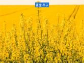 【新教材】鲁教版高中地理必修第二册 3.1.1《农业的区位选择》课件（1）