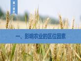 【新教材】鲁教版高中地理必修第二册 3.1.1《农业的区位选择》课件（2）
