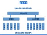 【新教材】鲁教版高中地理必修第二册 3.1.2《农业的区位选择》课件（2）