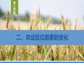 【新教材】鲁教版高中地理必修第二册 3.1.2《农业的区位选择》课件（2）