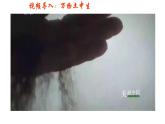 人教版高中地理必修一第五章第二节土壤课件（共2课时内含视频）