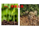 人教版高中地理必修一第五章第二节土壤课件（共2课时内含视频）