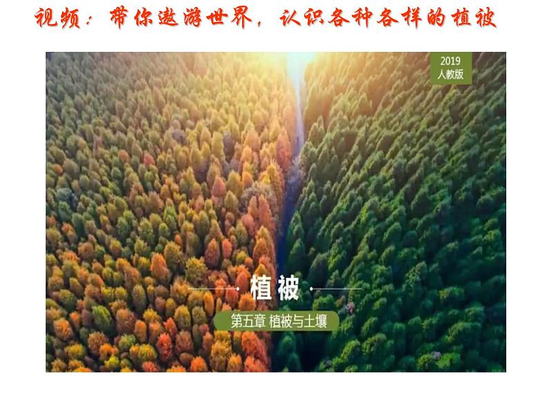 人教版高中地理必修一第五章第一节植被课件（共2课时内含视频）第4页