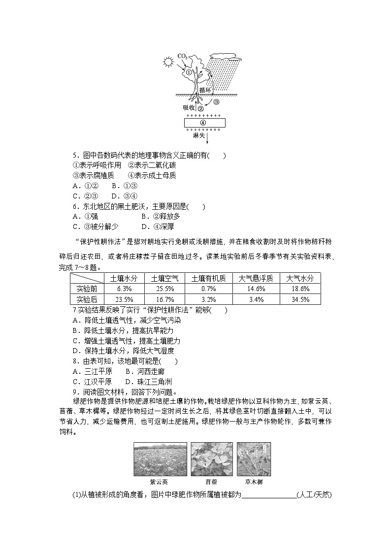 2024—2025高中地理人教版必修1一轮复习课时分层作业 16第2页