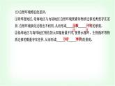 人教版高中地理选择性必修1第五章第二节自然环境的地域差异性课件