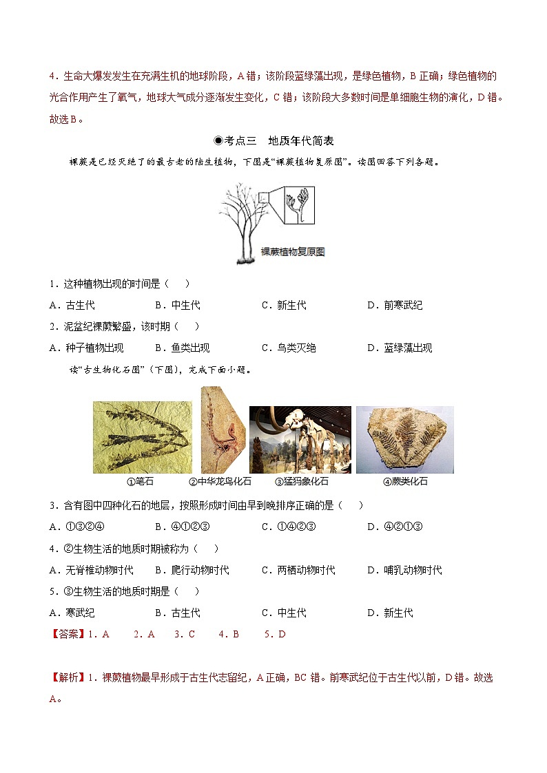 鲁教版2019高一地理 必修第一册 1.2+地球的形成与演化 分层作业03