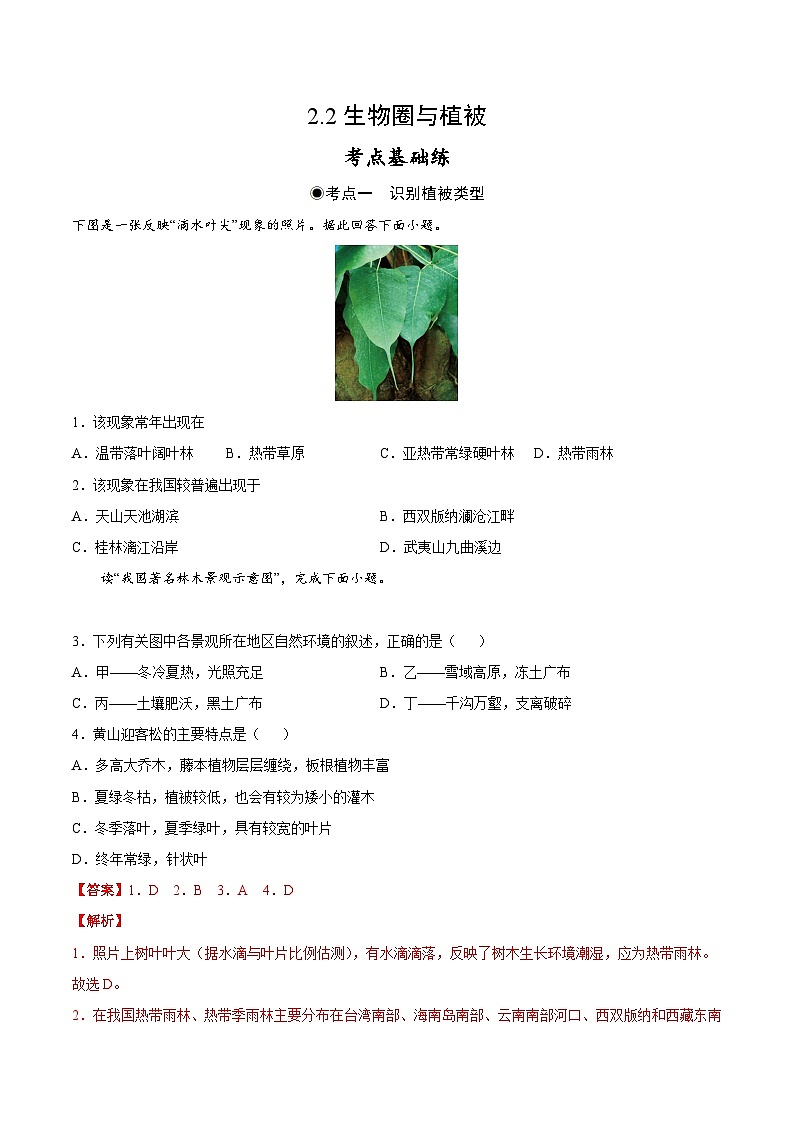 鲁教版2019高一地理 必修第一册 2.3+生物圈与植被 分层作业01