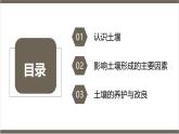 鲁教版2019高一地理 必修第一册 3.4 分析土壤形成的原因 课件