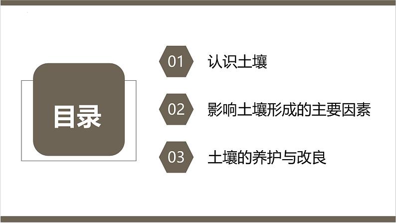 鲁教版2019高一地理 必修第一册 3.4 分析土壤形成的原因 课件03