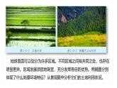 鲁教版2019高二地理选择性必修2 1.2比较区域发展的异同 课件