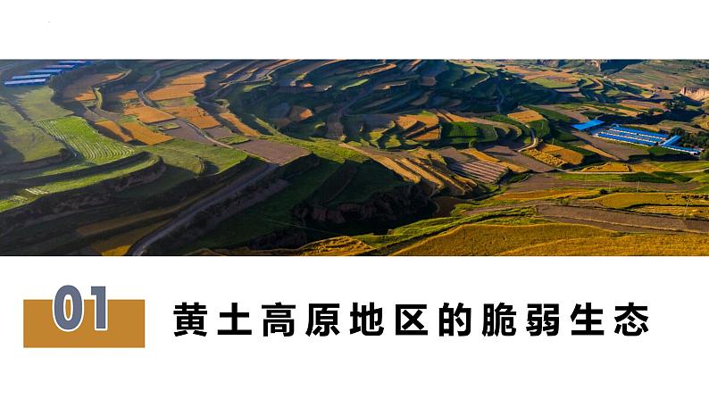 鲁教版2019高二地理选择性必修2 2.1生态脆弱地区的发展——以黄土高原地区为主 课件06
