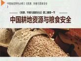 中图版2019高二地理选择性必修32.1中国耕地资源与粮食安全 课件