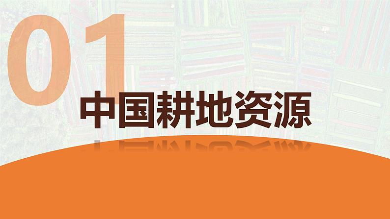 中图版2019高二地理选择性必修32.1中国耕地资源与粮食安全 课件05
