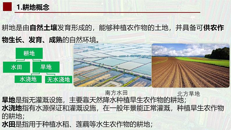 中图版2019高二地理选择性必修32.1中国耕地资源与粮食安全 课件06