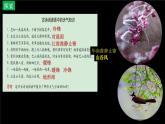 中图版2019高二地理选择性必修1 3.1常见天气现象及成因（ 课件）