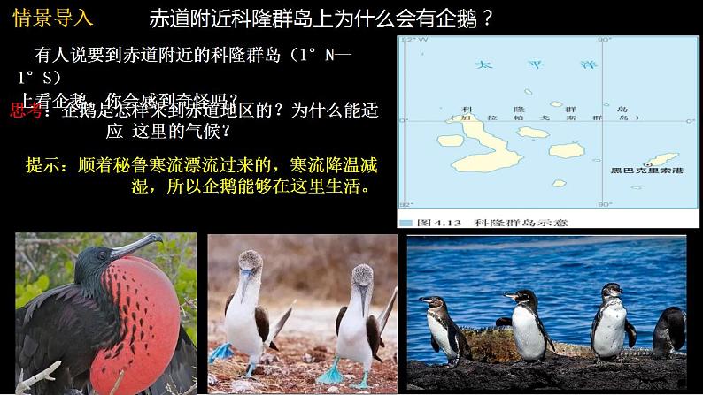 中图版2019高二地理选择性必修1 4.2.世界洋流的分布与影响（ 课件）05