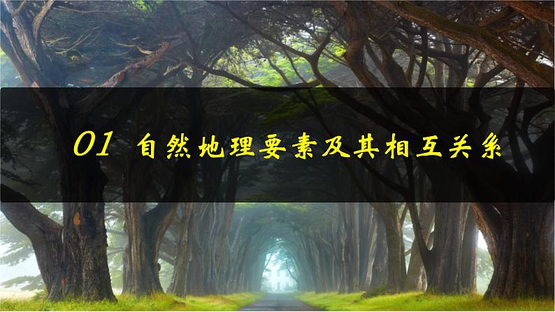 中图版2019高二地理选择性必修1 5.1自然地理环境的整体性（ 课件）07