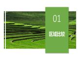 中图版2019高二地理选择性必修2 1.2区域差异与因地制宜 课件