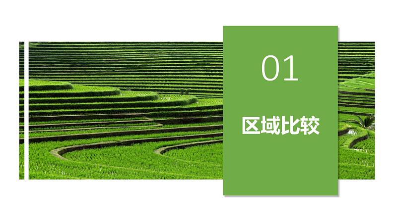 中图版2019高二地理选择性必修2 1.2区域差异与因地制宜 课件04