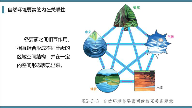 鲁教版2019高二地理选择性必修1 5.2 自然环境的整体性 课件08