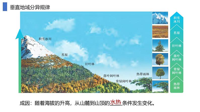 鲁教版2019高二地理选择性必修1 第五单元 自然环境的特征 复习课件08