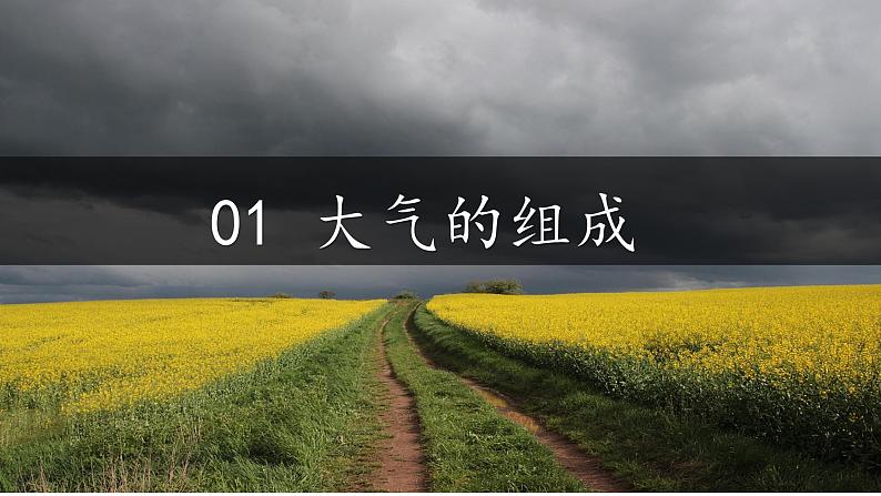 中图版2019高一地理必修第一册 2.2大气的组成与垂直分层 课件第4页