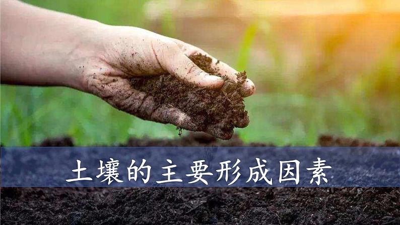 中图版2019高一地理必修第一册 2.6土壤的主要形成因素 课件01