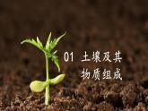 中图版2019高一地理必修第一册 2.6土壤的主要形成因素 课件