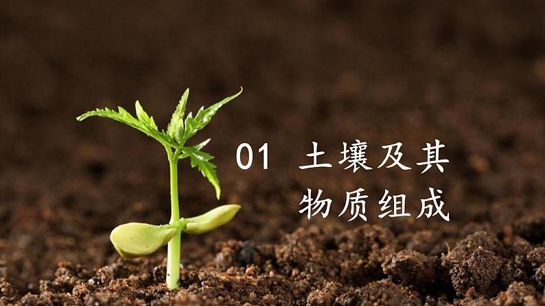 中图版2019高一地理必修第一册 2.6土壤的主要形成因素 课件03