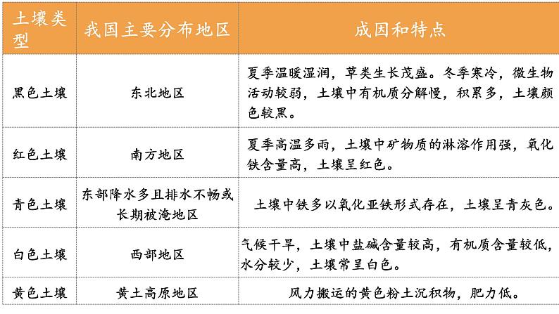 中图版2019高一地理必修第一册 2.6土壤的主要形成因素 课件08