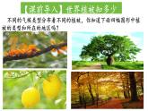中图版2019高一地理必修第一册 2.7植被与自然环境的关系 课件