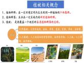 中图版2019高一地理必修第一册 2.7植被与自然环境的关系 课件