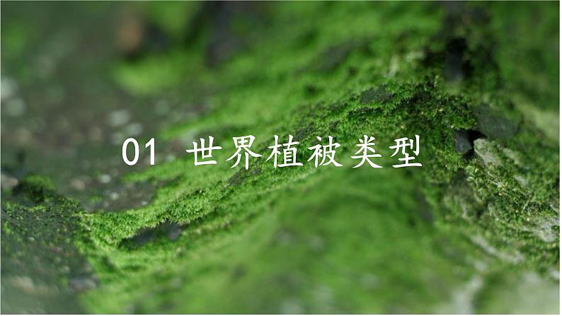 中图版2019高一地理必修第一册 2.7植被与自然环境的关系 课件04