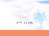 高考地理一轮复习第六章自然环境的整体性和差异性第一节植被与土壤课件