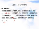 高考地理一轮复习第六章自然环境的整体性和差异性第一节植被与土壤课件