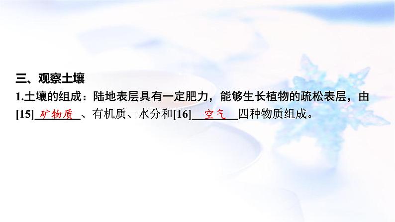 高考地理一轮复习第六章自然环境的整体性和差异性第一节植被与土壤课件第8页