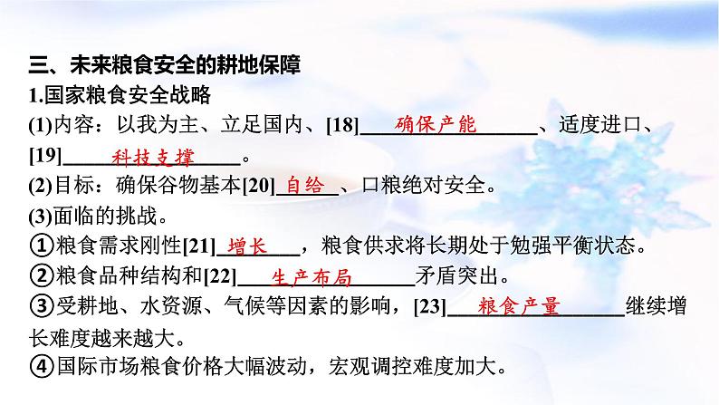 高考地理一轮复习第十八章资源安全与国家安全第二节耕地资源与粮食安全课件08