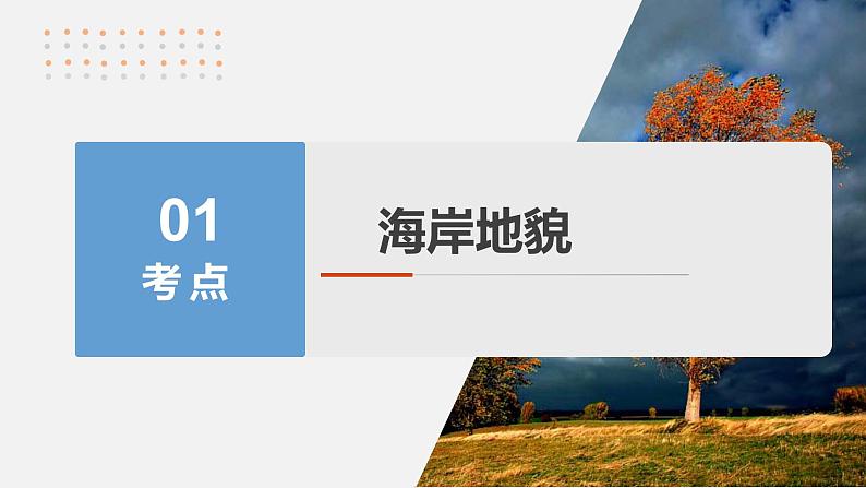 第一部分  第五章　第三讲　课时三3　海岸地貌与冰川地貌-2025年高考地理大一轮复习（课件+讲义+练习）06