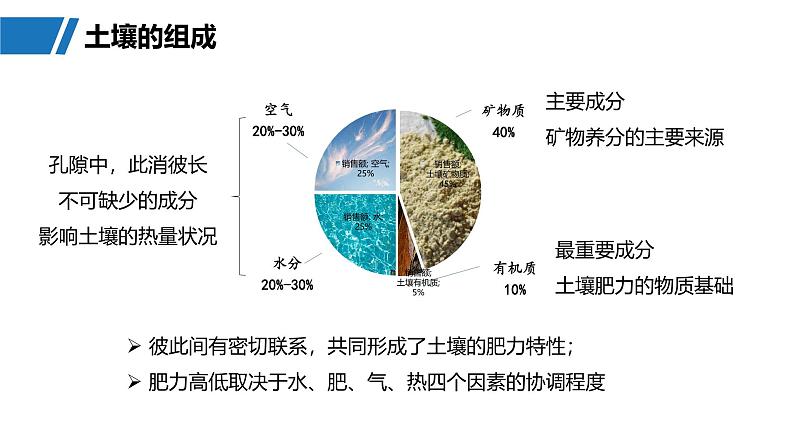 第一部分  第六章　第一讲　课时三5　土壤-2025年高考地理大一轮复习（课件+讲义+练习）06