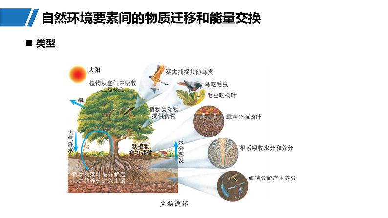 第一部分  第六章　第一讲　课时三6　整体性-2025年高考地理大一轮复习（课件+讲义+练习）08