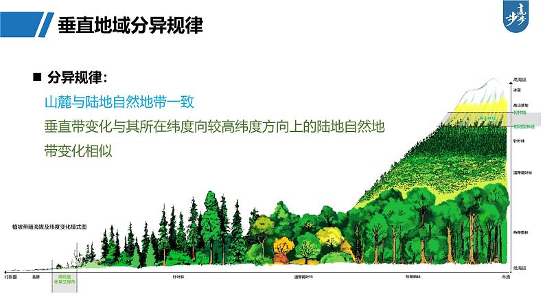 第一部分  第六章　第二讲　课时三8　垂直地域分异规律-2025年高考地理大一轮复习（课件+讲义+练习）07