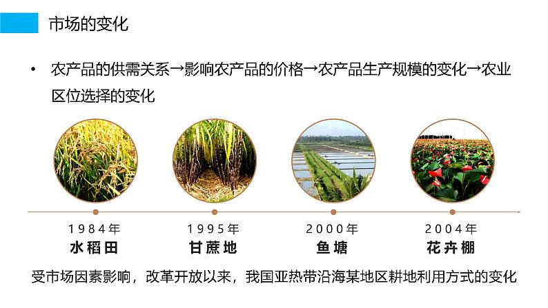 第二部分  第三章　第一讲　课时四7　农业区位因素的变化-2025年高考地理大一轮复习（课件+讲义+练习）05