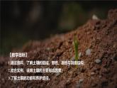 5.2土壤课件2024-2025学年高一地理人教版（2019）必修第一册