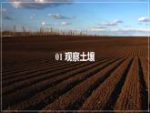 5.2土壤课件2024-2025学年高一地理人教版（2019）必修第一册
