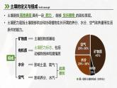 5.2土壤课件2024-2025学年高一地理人教版（2019）必修第一册