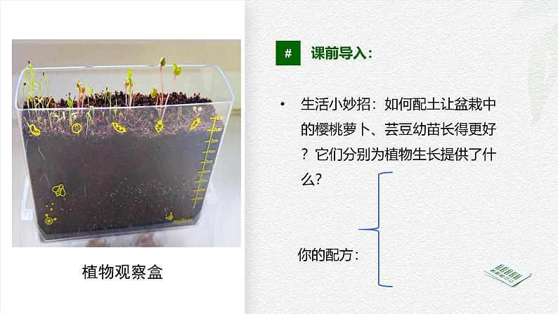 5.2土壤课件-2024-2025学年高一地理人教版（2019）必修第一册第3页